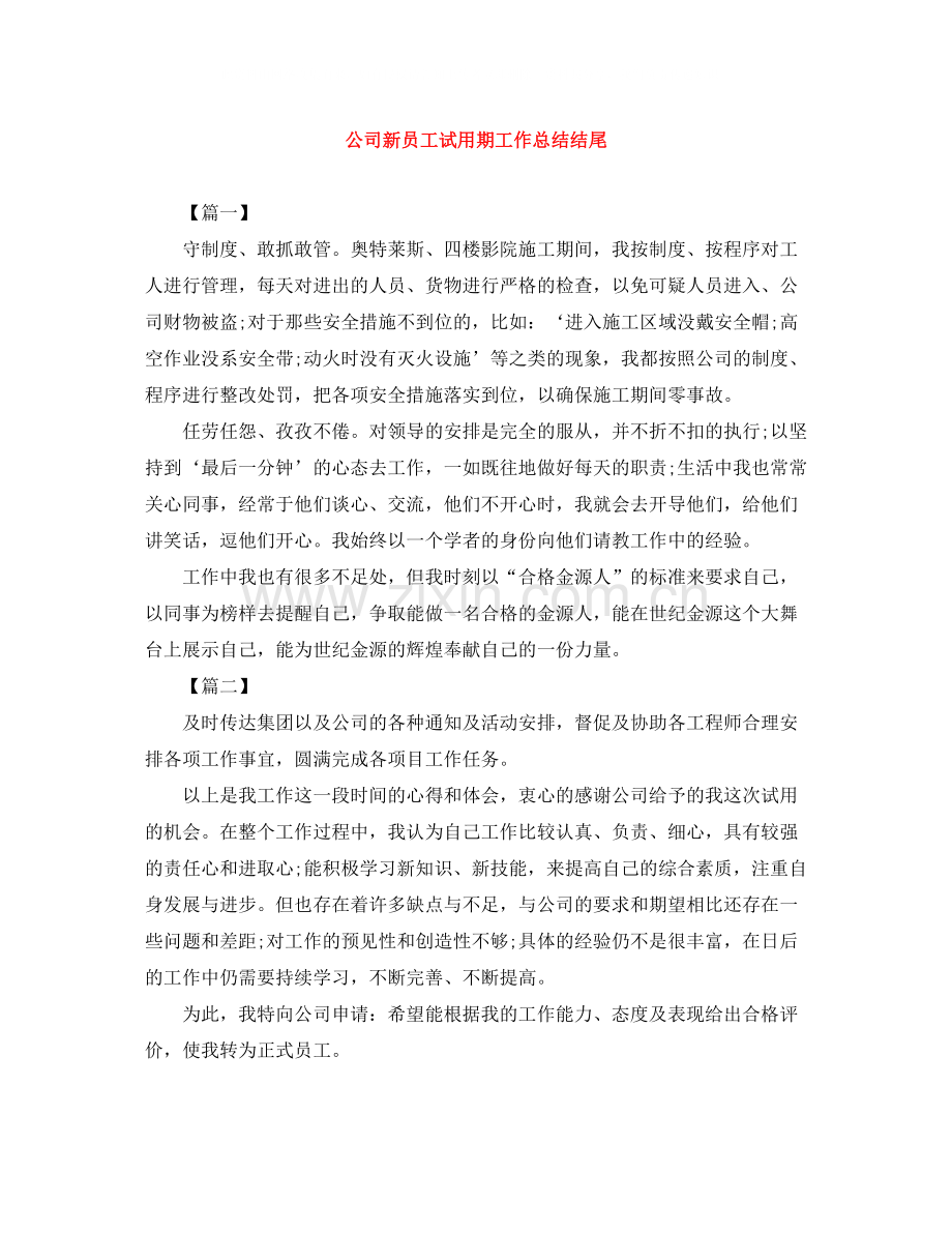公司新员工试用期工作总结结尾.docx_第1页