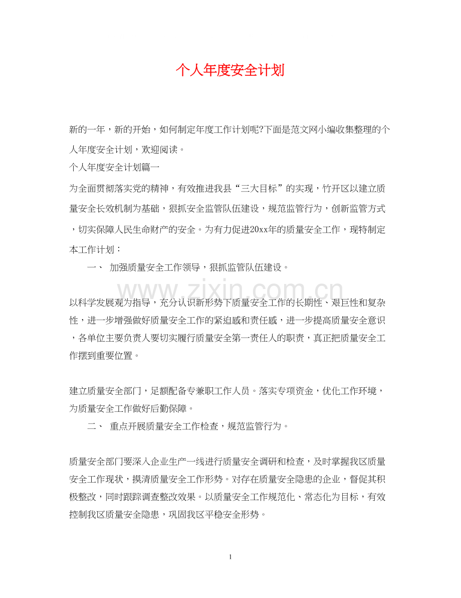 个人年度安全计划.docx_第1页