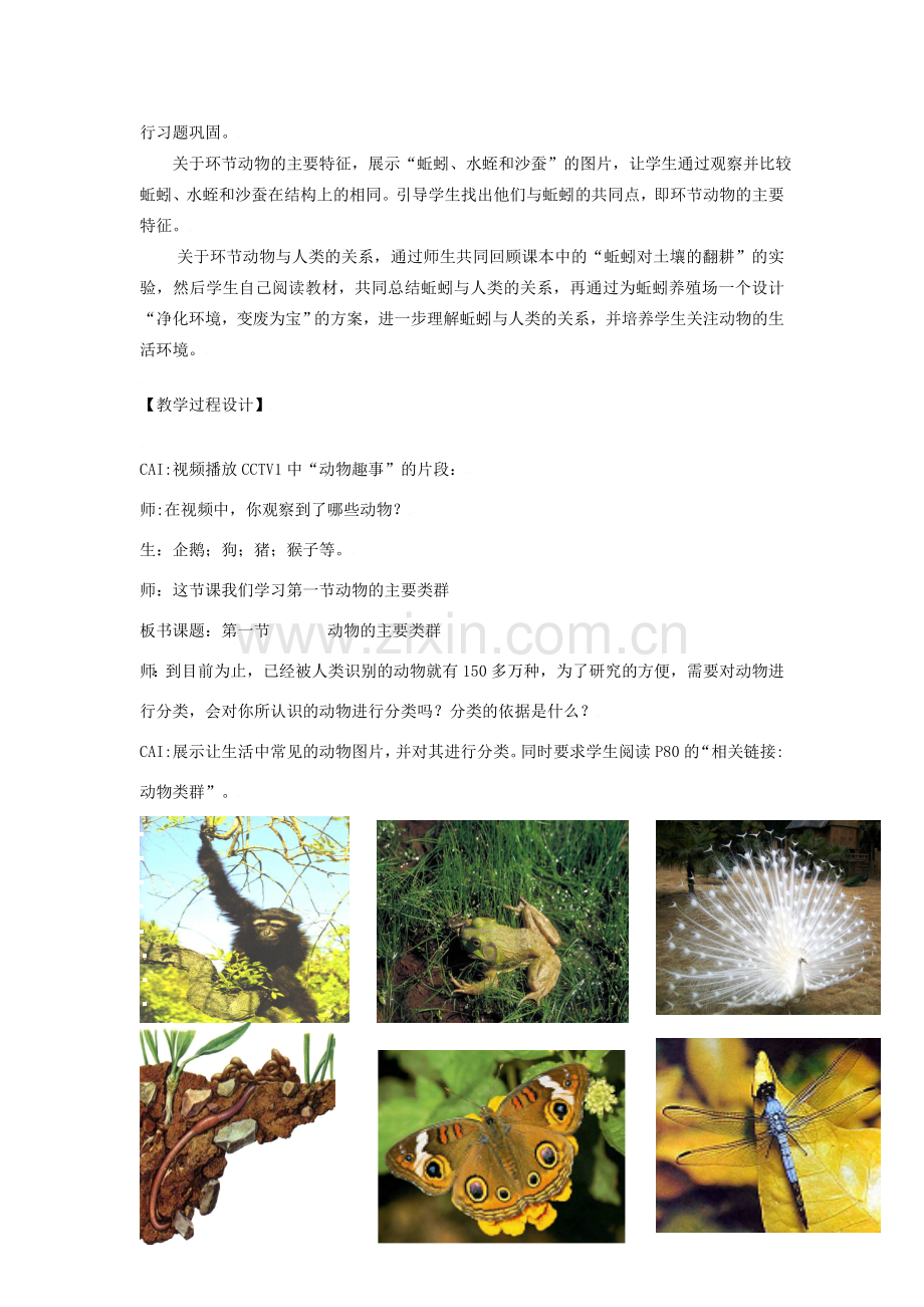 七年级生物上册第二单元第二章第一节 动物的主要类群 教案济南版.doc_第2页