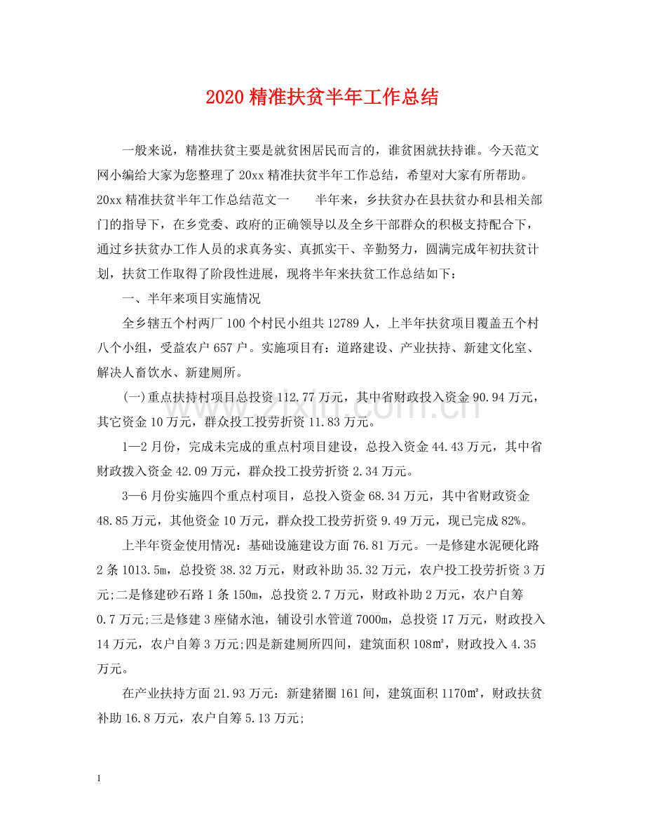 精准扶贫半年工作总结.docx_第1页
