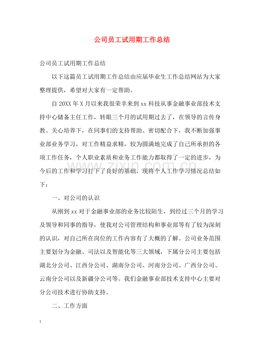公司员工试用期工作总结.docx_第1页