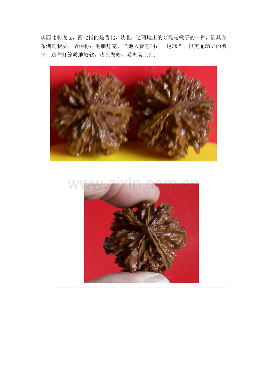 文玩核桃-灯笼核桃的种类.doc_第1页