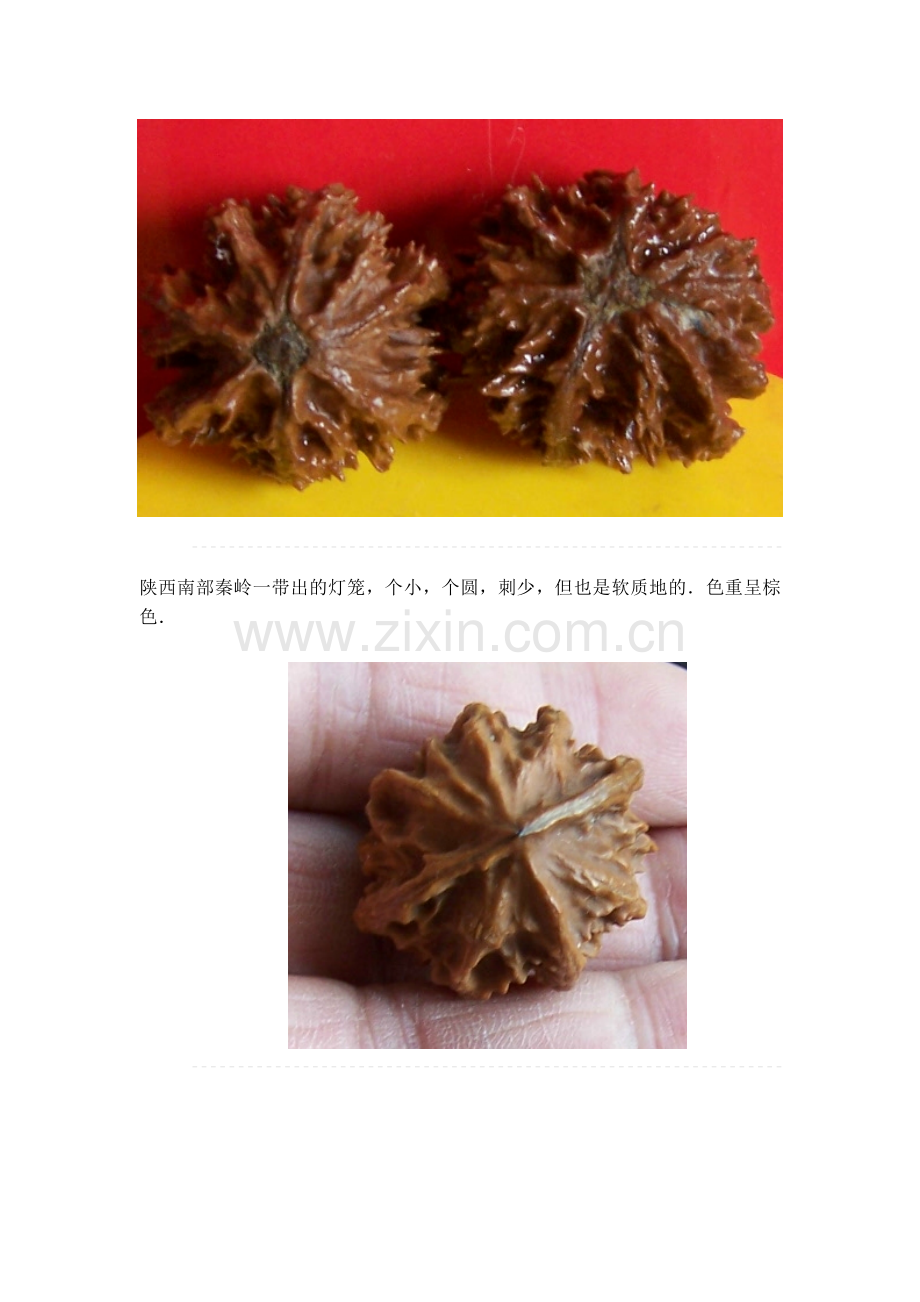 文玩核桃-灯笼核桃的种类.doc_第2页