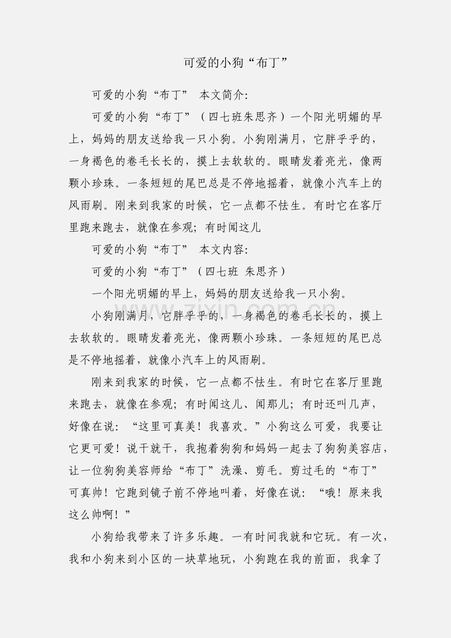 可爱的小狗“布丁”.docx_第1页