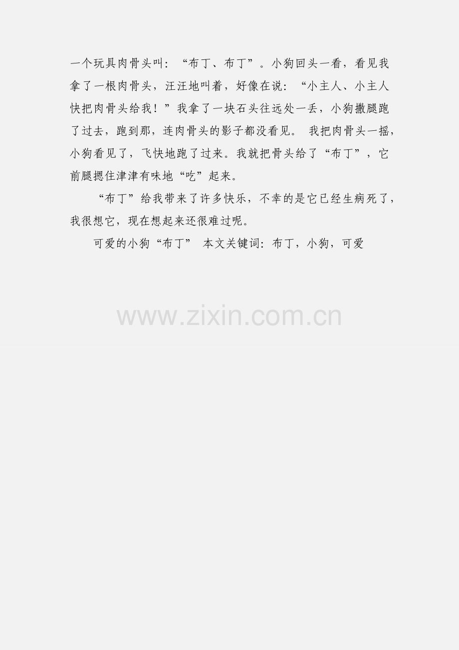 可爱的小狗“布丁”.docx_第2页