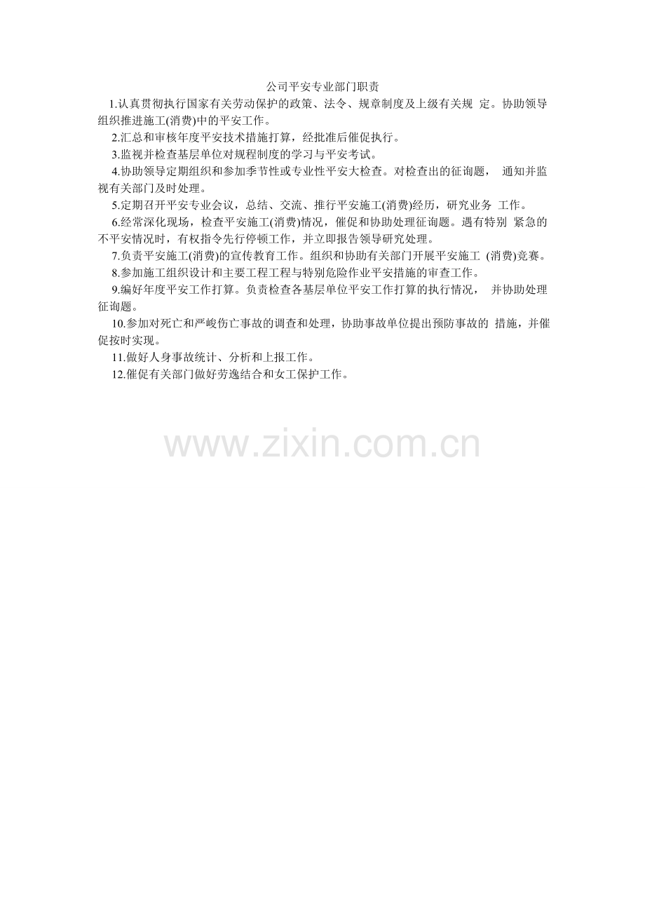 公司安全专业部门职责.doc_第1页