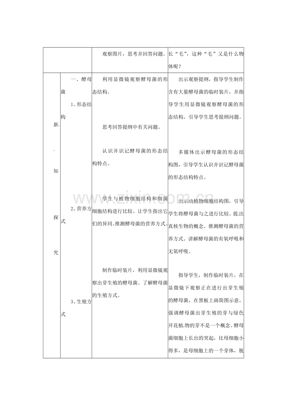八年级生物上册 5.2.1 酵母菌和霉菌教案 （新版）冀教版-（新版）冀教版初中八年级上册生物教案.doc_第2页