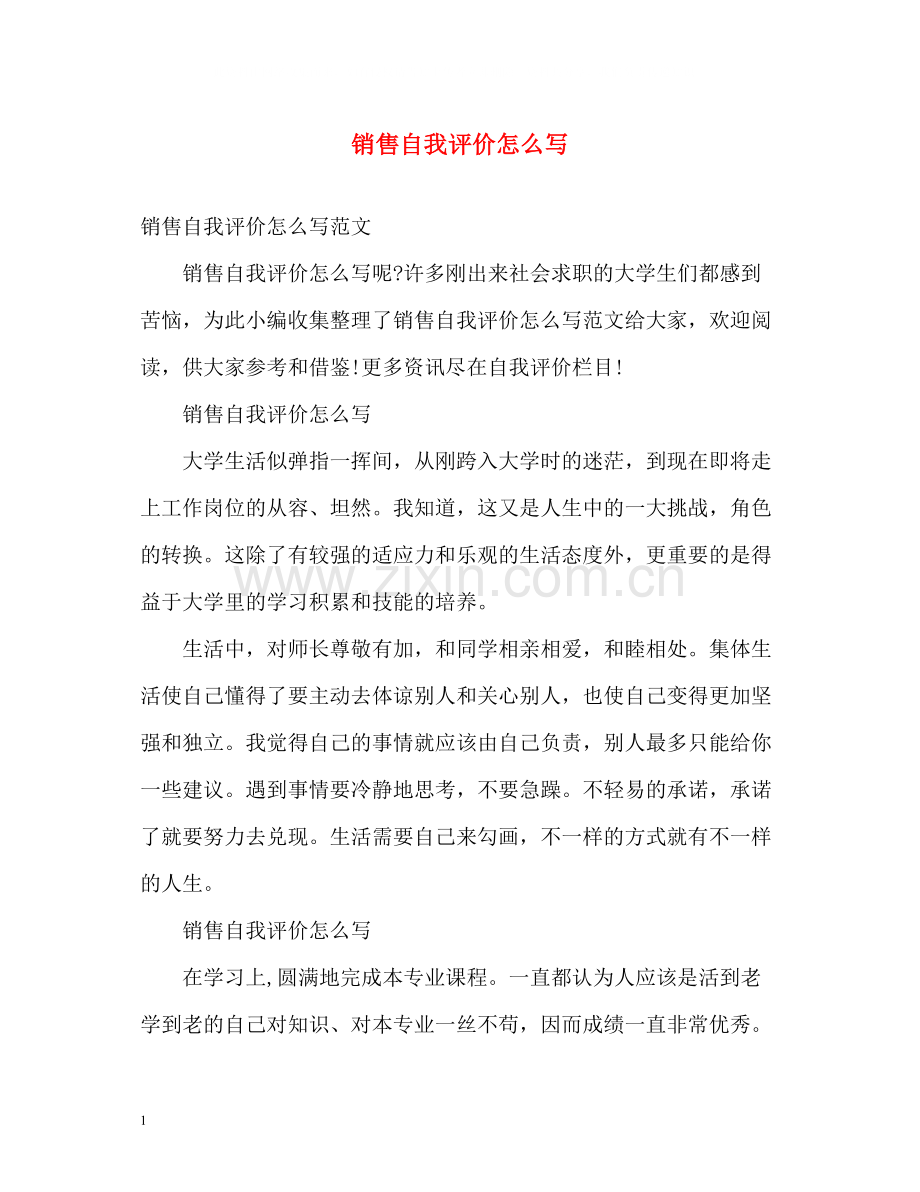销售自我评价怎么写.docx_第1页