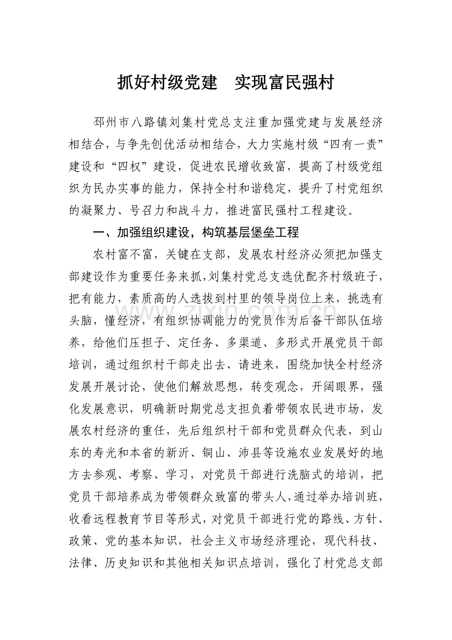 抓好村级党建实现富民强村.doc_第1页