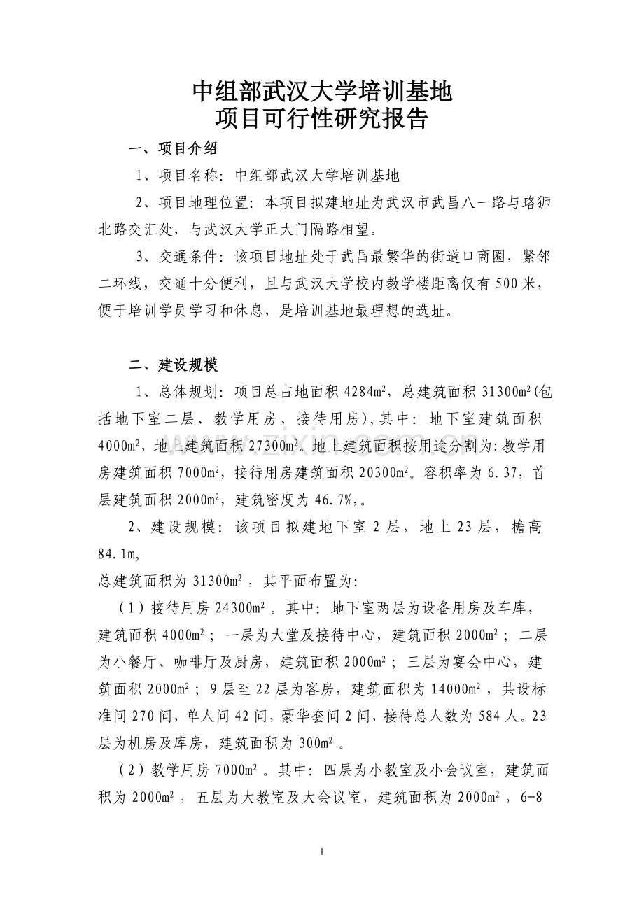 何力项目可行性研究报告.doc_第1页