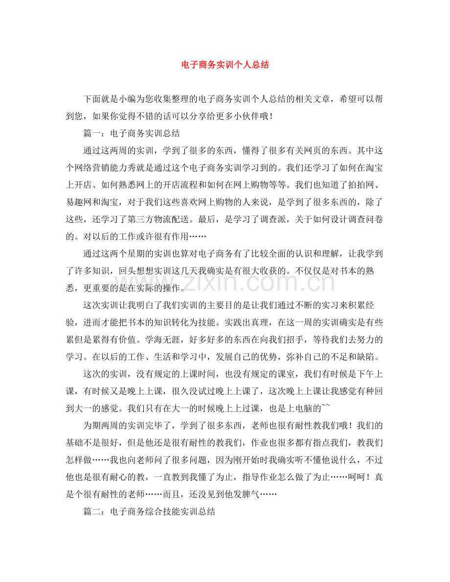 电子商务实训个人总结.docx_第1页