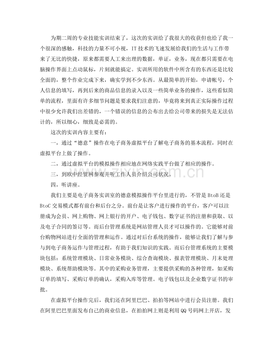 电子商务实训个人总结.docx_第2页