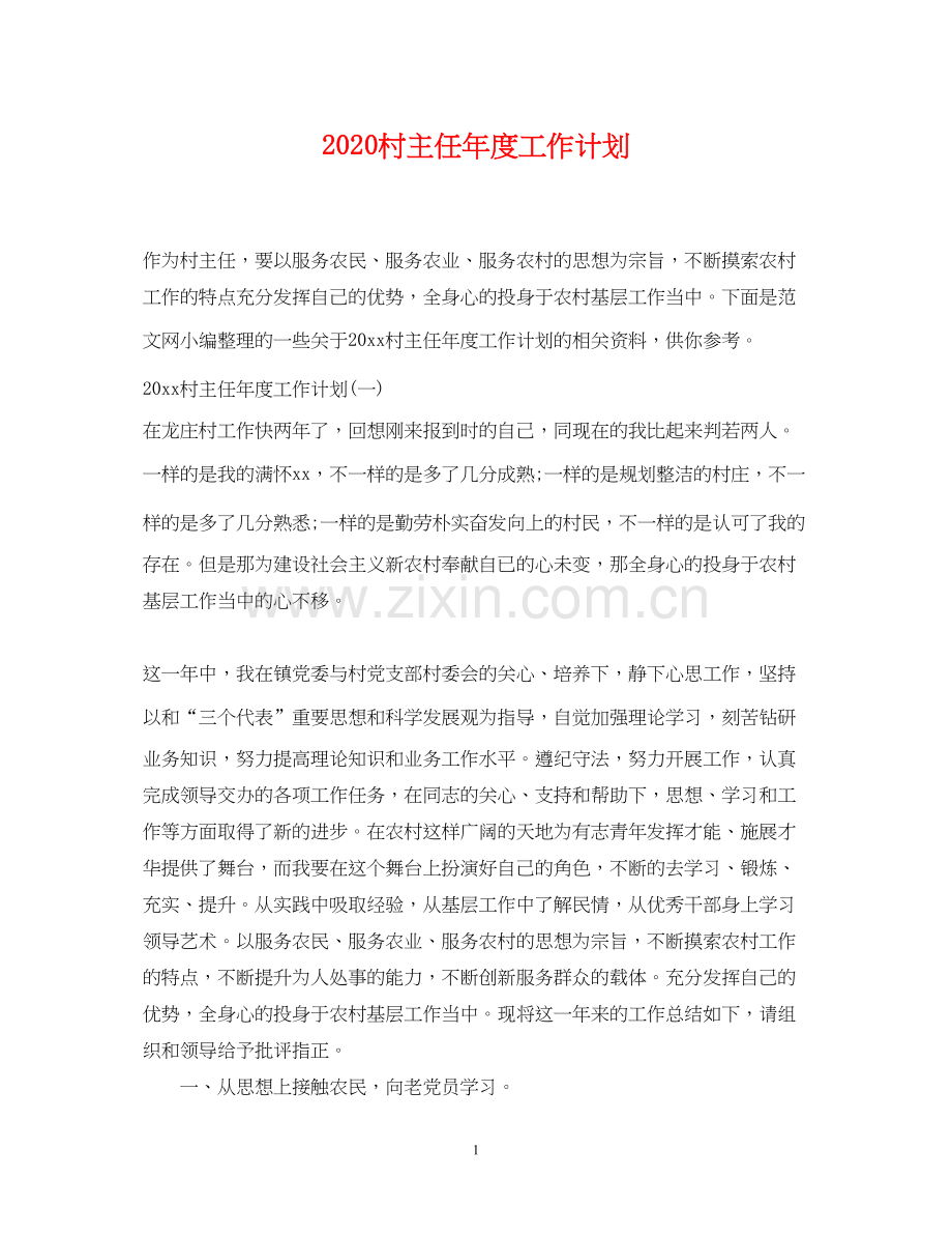 村主任年度工作计划.docx_第1页