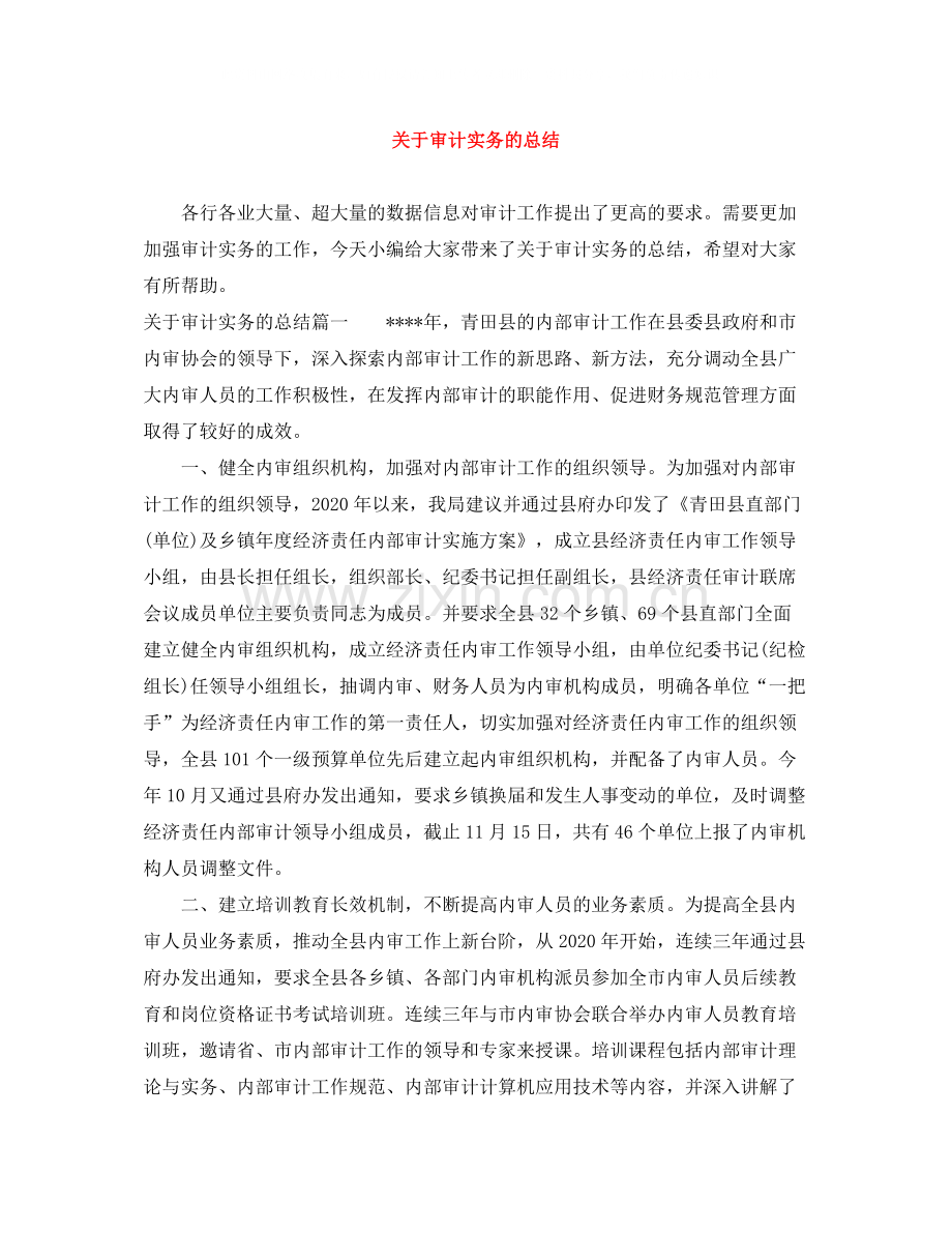 关于审计实务的总结.docx_第1页