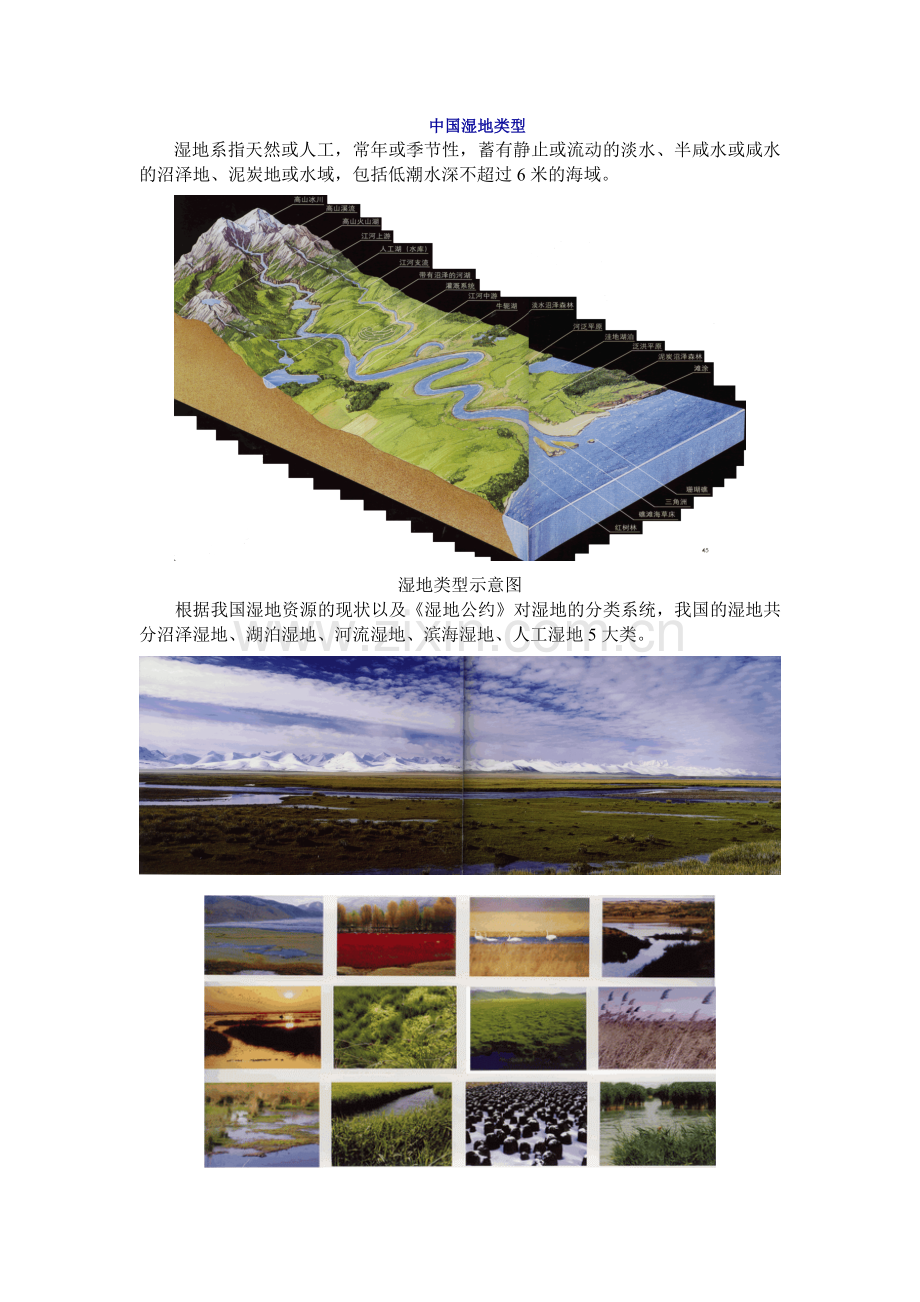 我国的湿地类型.doc_第1页