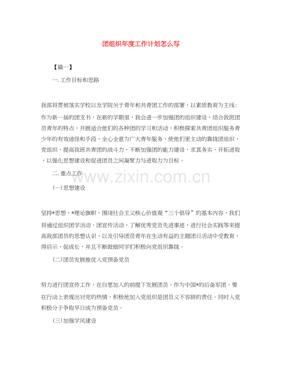 团组织年度工作计划怎么写.docx_第1页