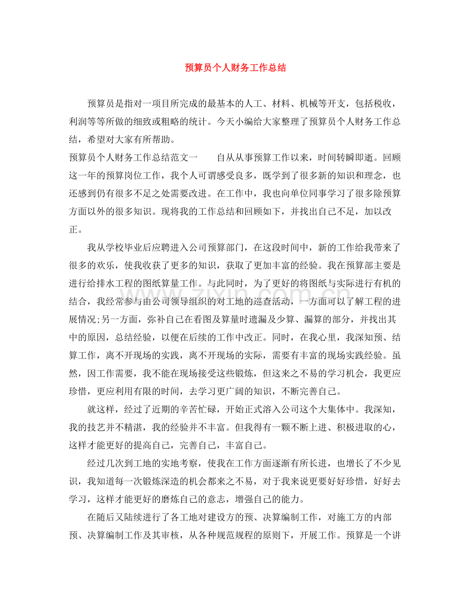 预算员个人财务工作总结.docx_第1页