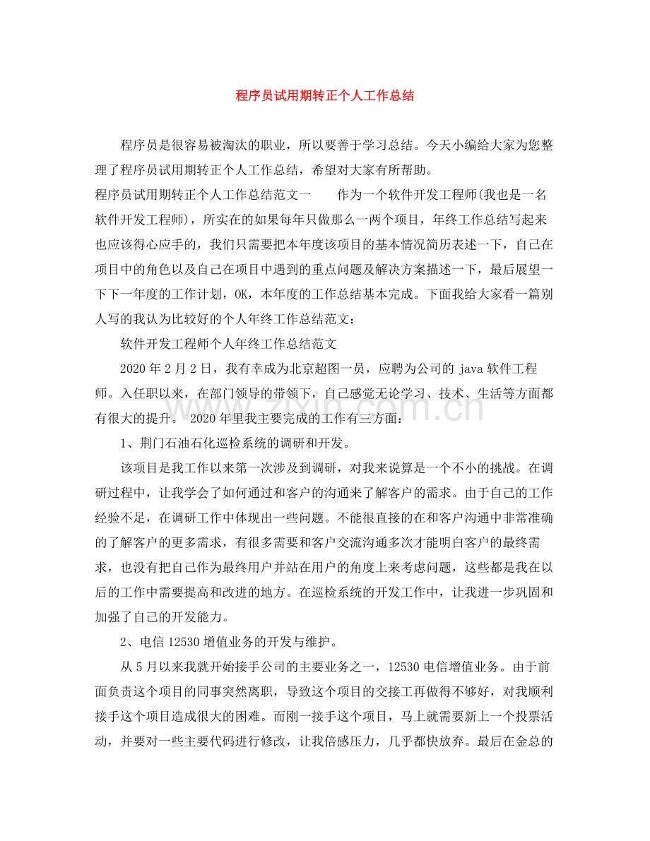 程序员试用期转正个人工作总结.docx_第1页