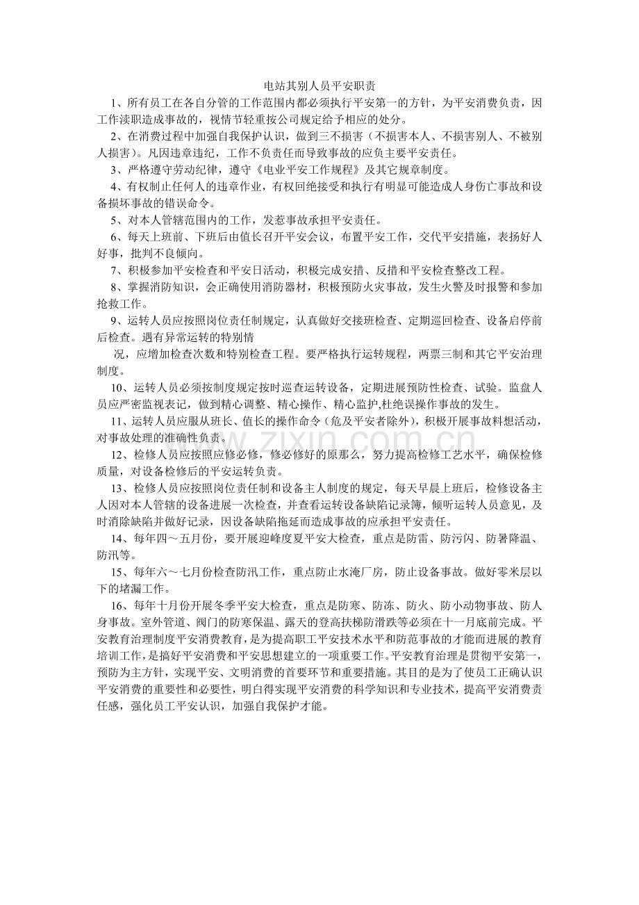 电站其他人员安全职责.doc_第1页