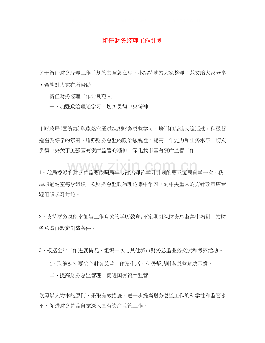 新任财务经理工作计划.docx_第1页