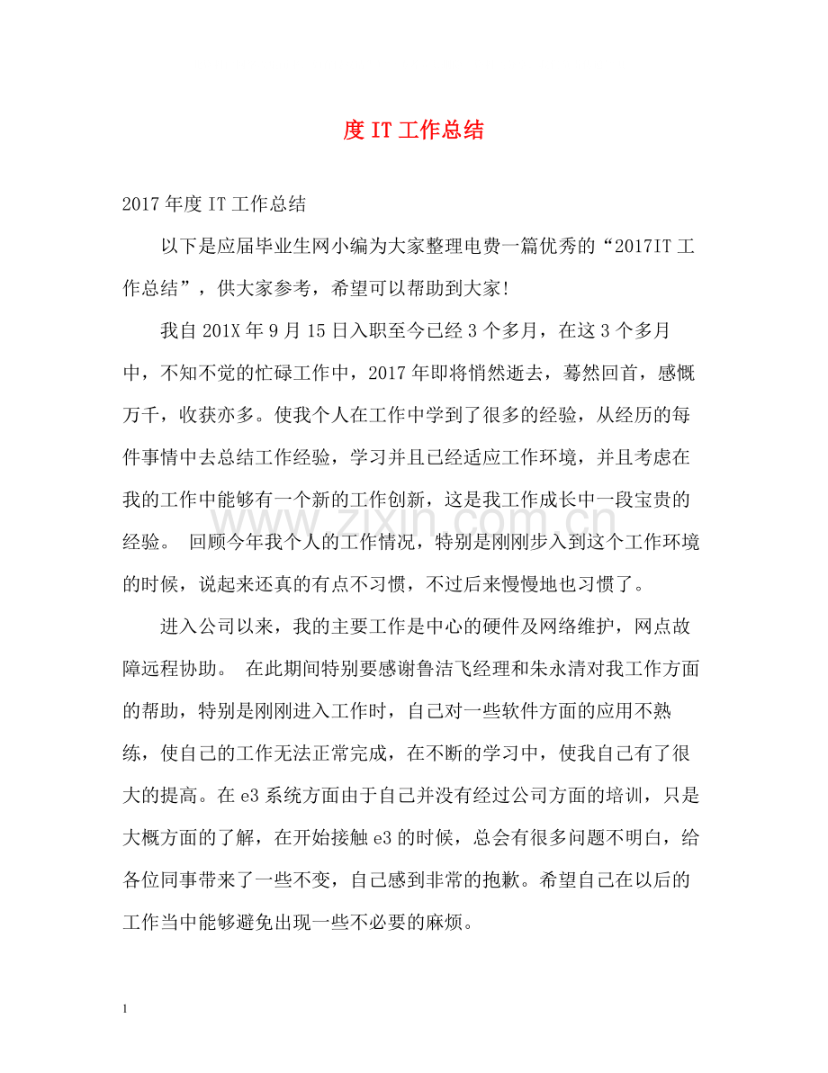 IT工作总结.docx_第1页