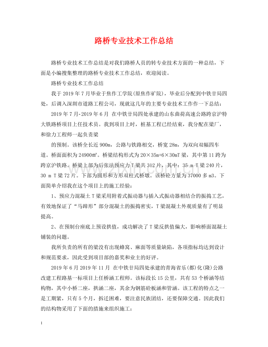 路桥专业技术工作总结.docx_第1页