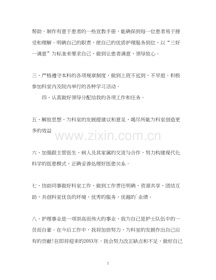 护士个人的工作计划2).docx_第2页