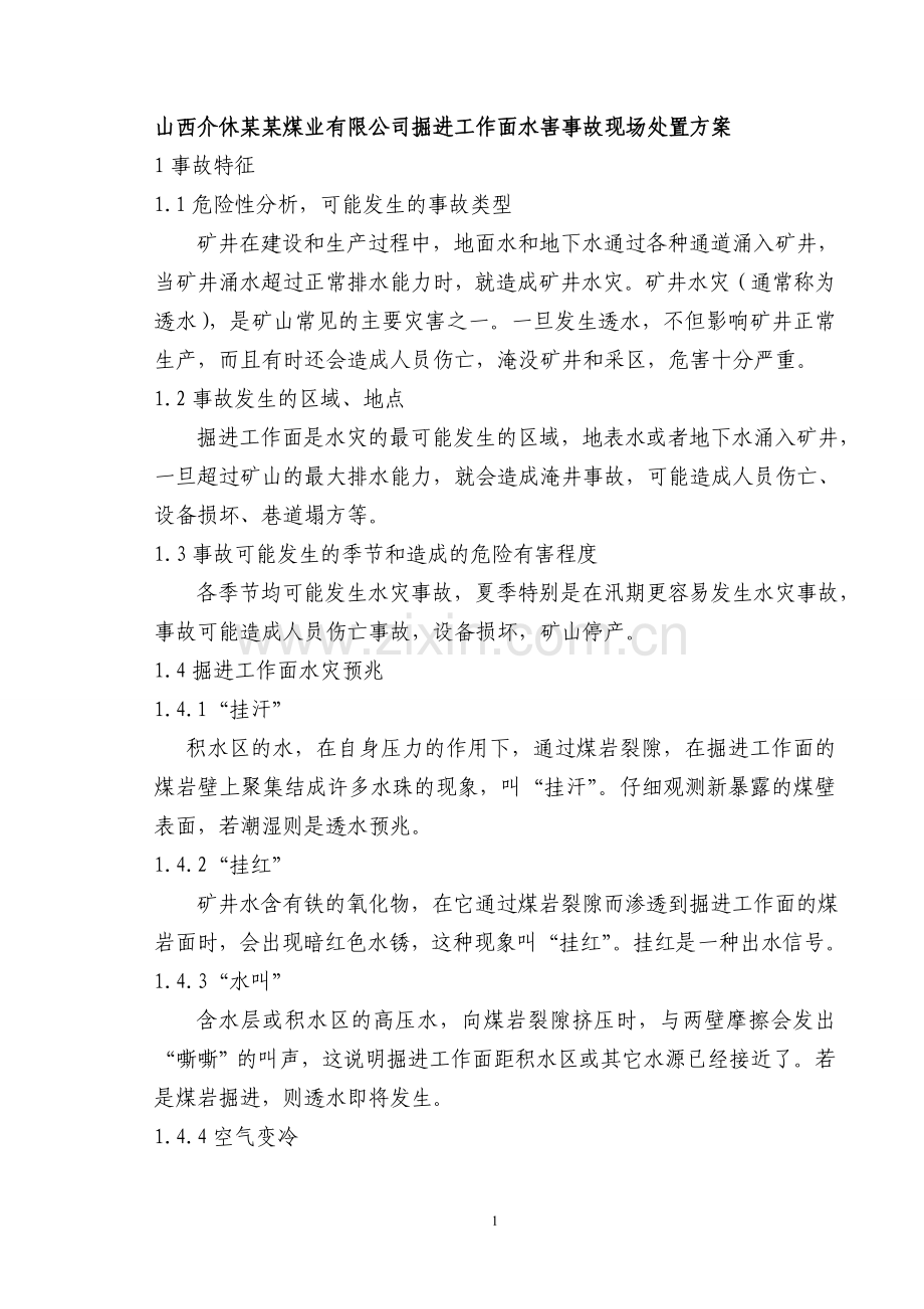 掘进透水事故现场处置方案.doc_第1页