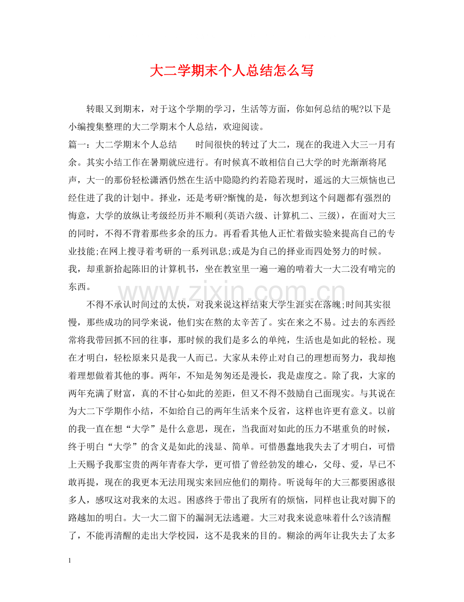 大二学期末个人总结怎么写.docx_第1页