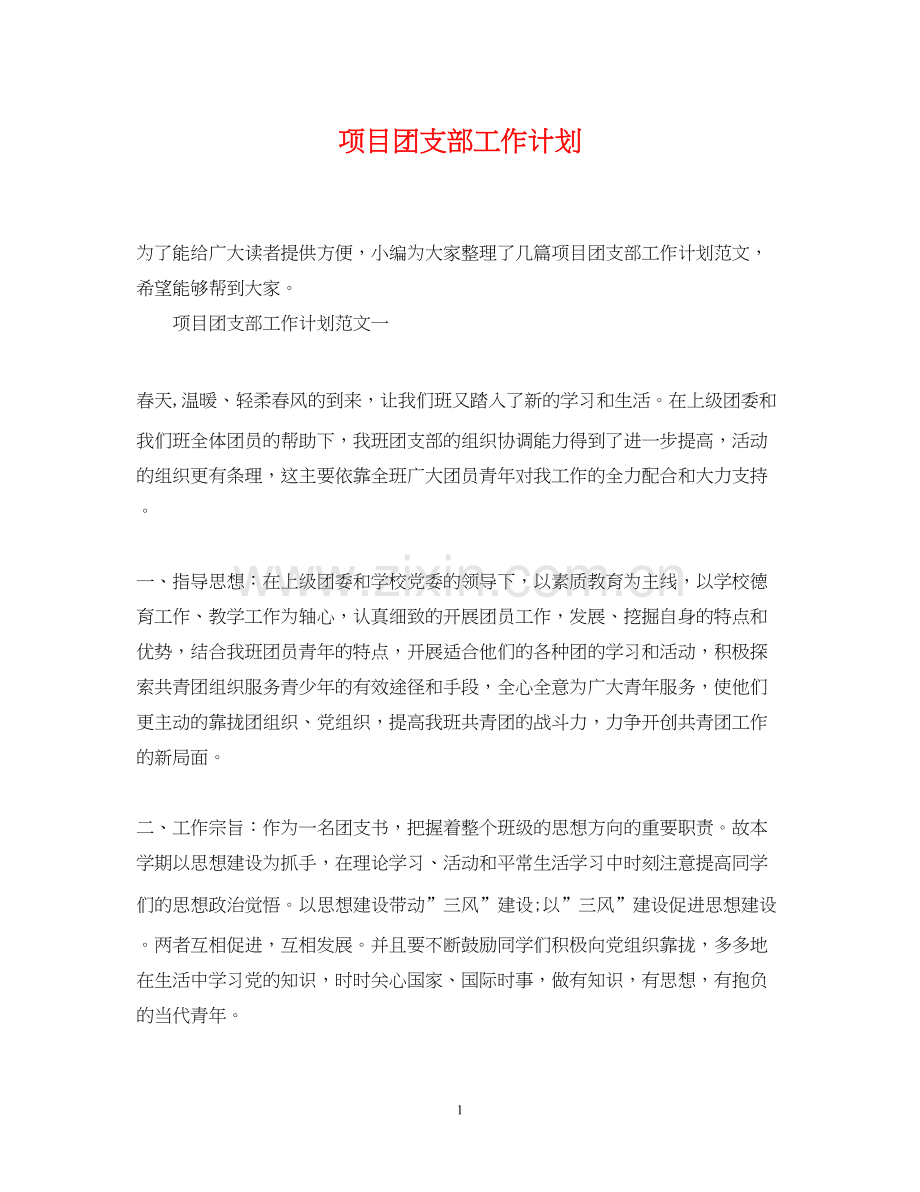 项目团支部工作计划.docx_第1页