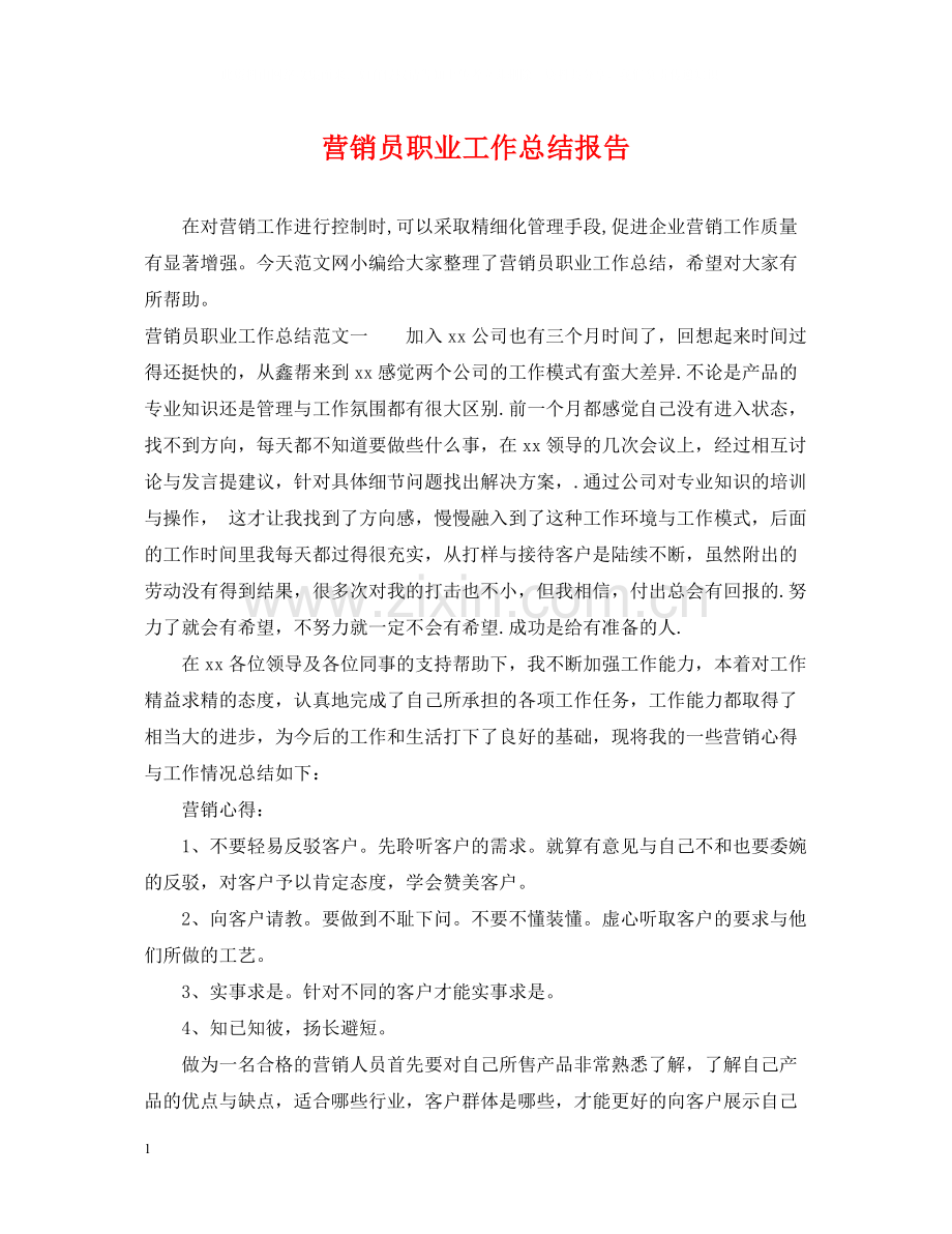营销员职业工作总结报告.docx_第1页
