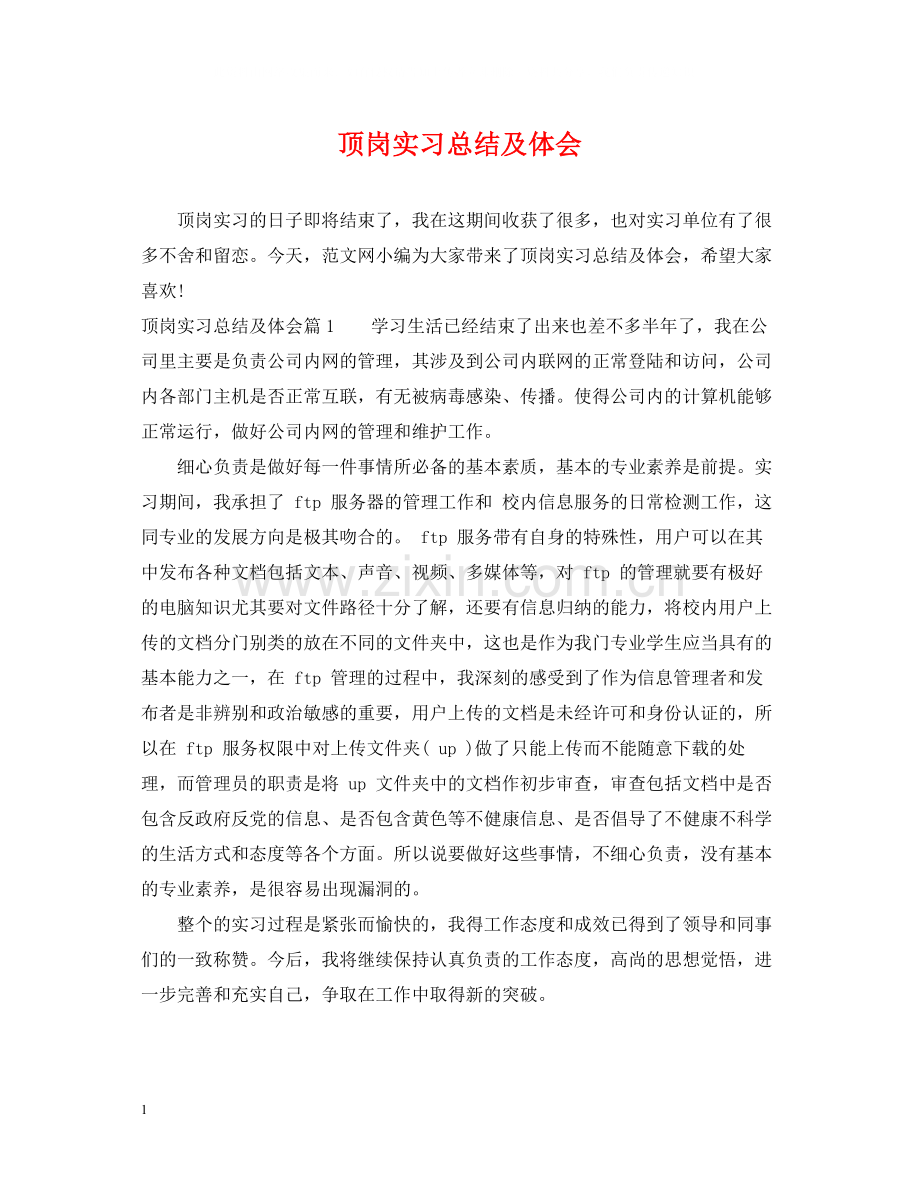 顶岗实习总结及体会.docx_第1页