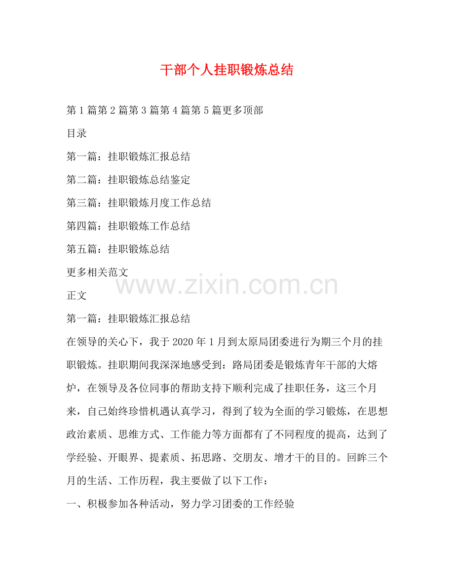 干部个人挂职锻炼总结.docx_第1页