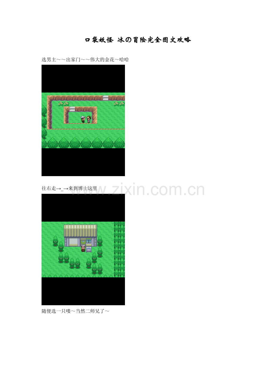 口袋妖怪 冰の冒险完全图文攻略.doc_第1页
