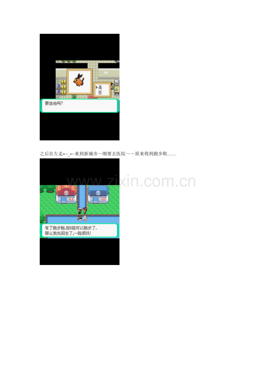 口袋妖怪 冰の冒险完全图文攻略.doc_第2页