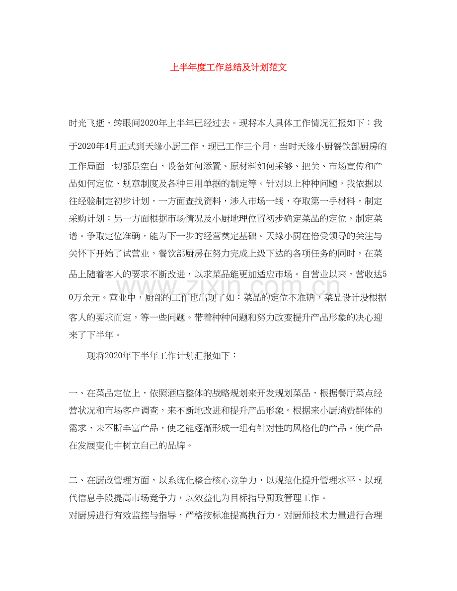 上半年度工作总结及计划范文.docx_第1页