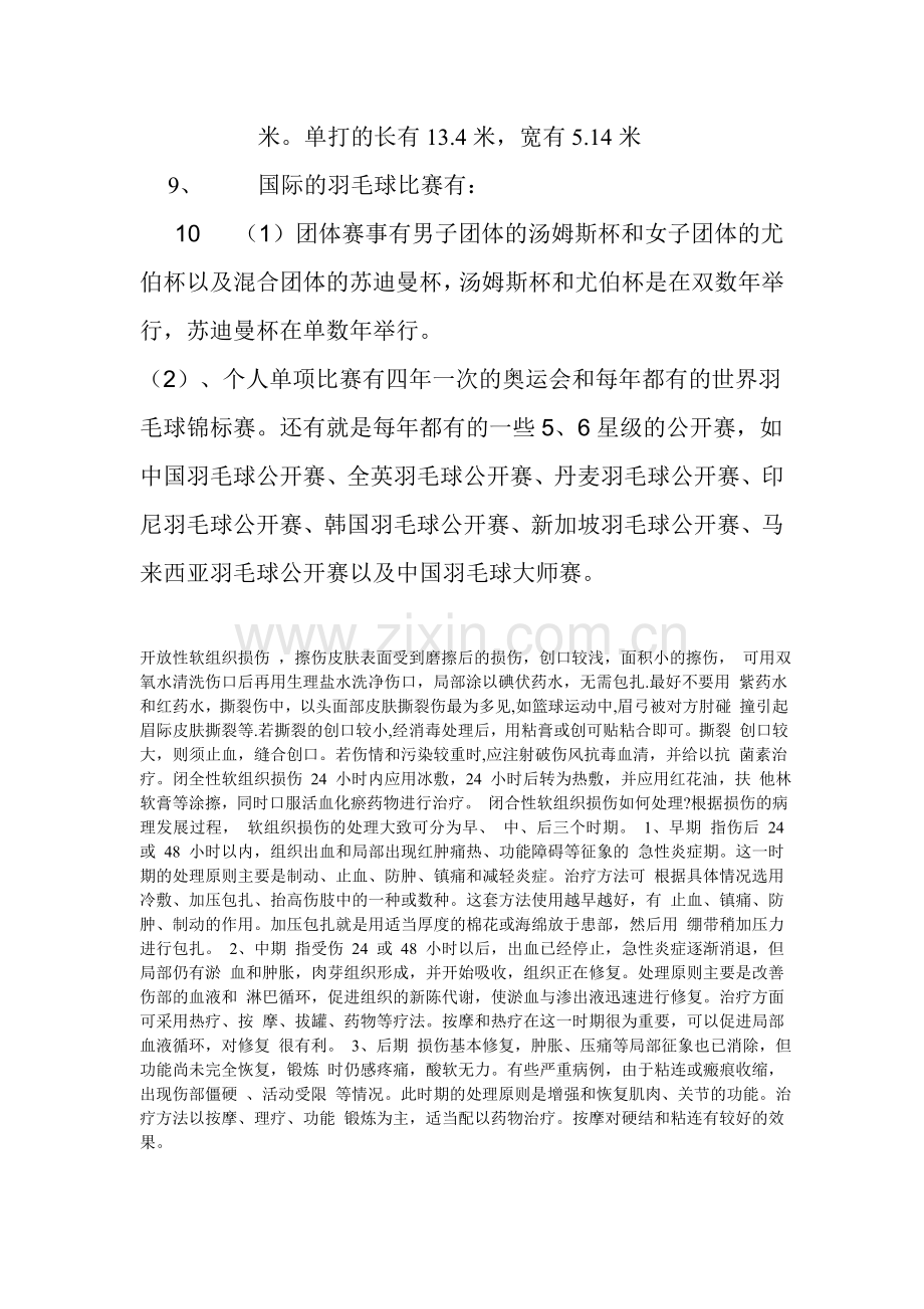 羽毛球三级裁判资料.doc_第2页
