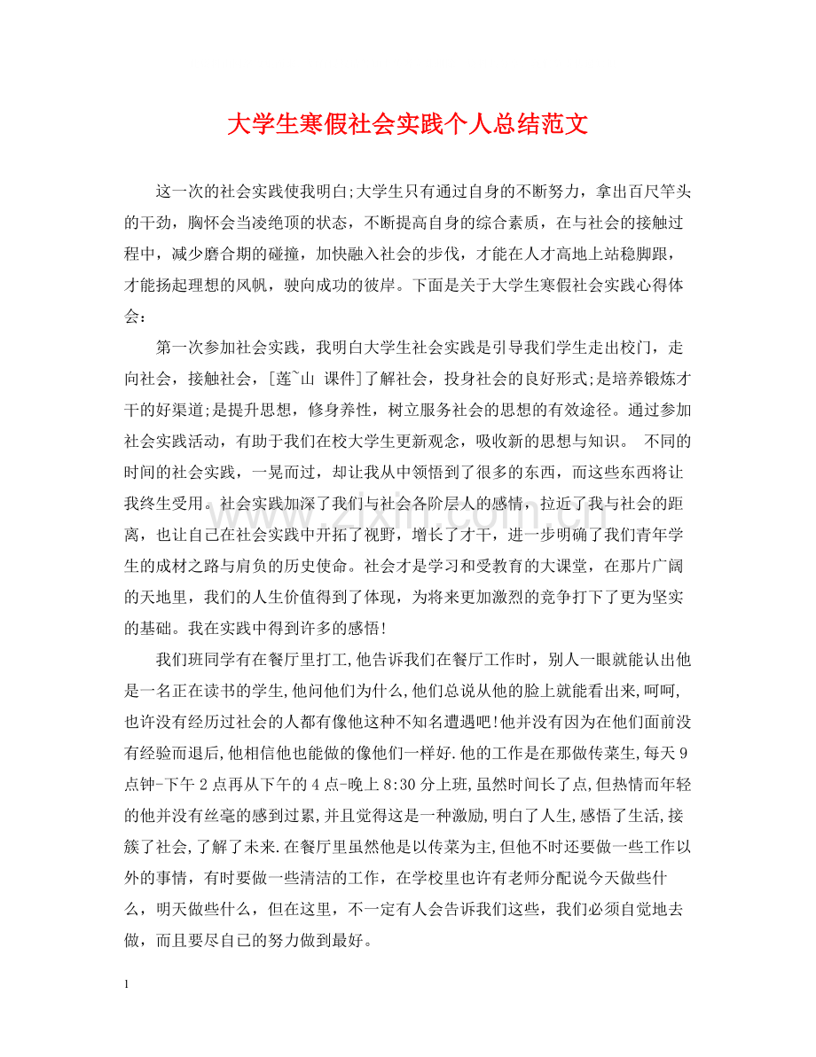 大学生寒假社会实践个人总结范文.docx_第1页