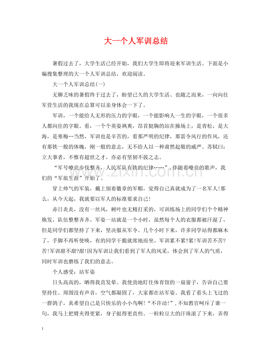 大一个人军训总结.docx_第1页