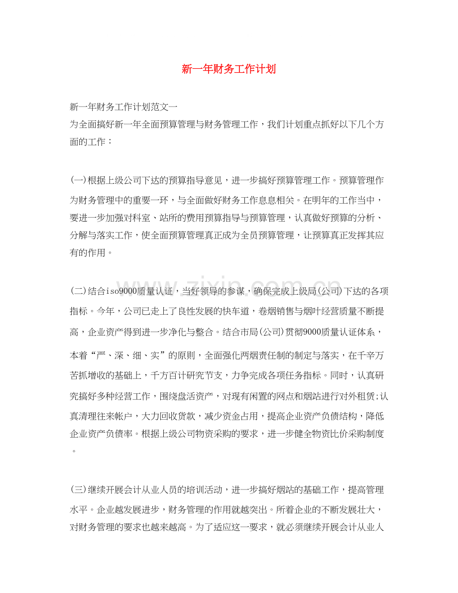新一年财务工作计划.docx_第1页