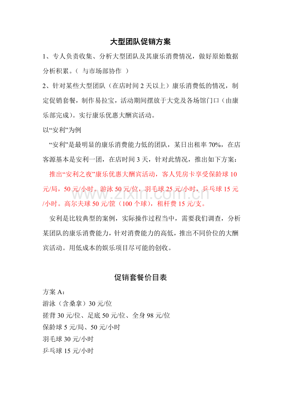 大型团队促销方案.doc_第1页