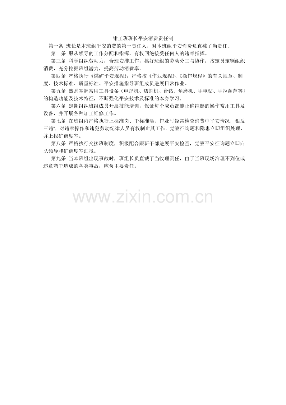 钳工班班长安全生产责任制.doc_第1页