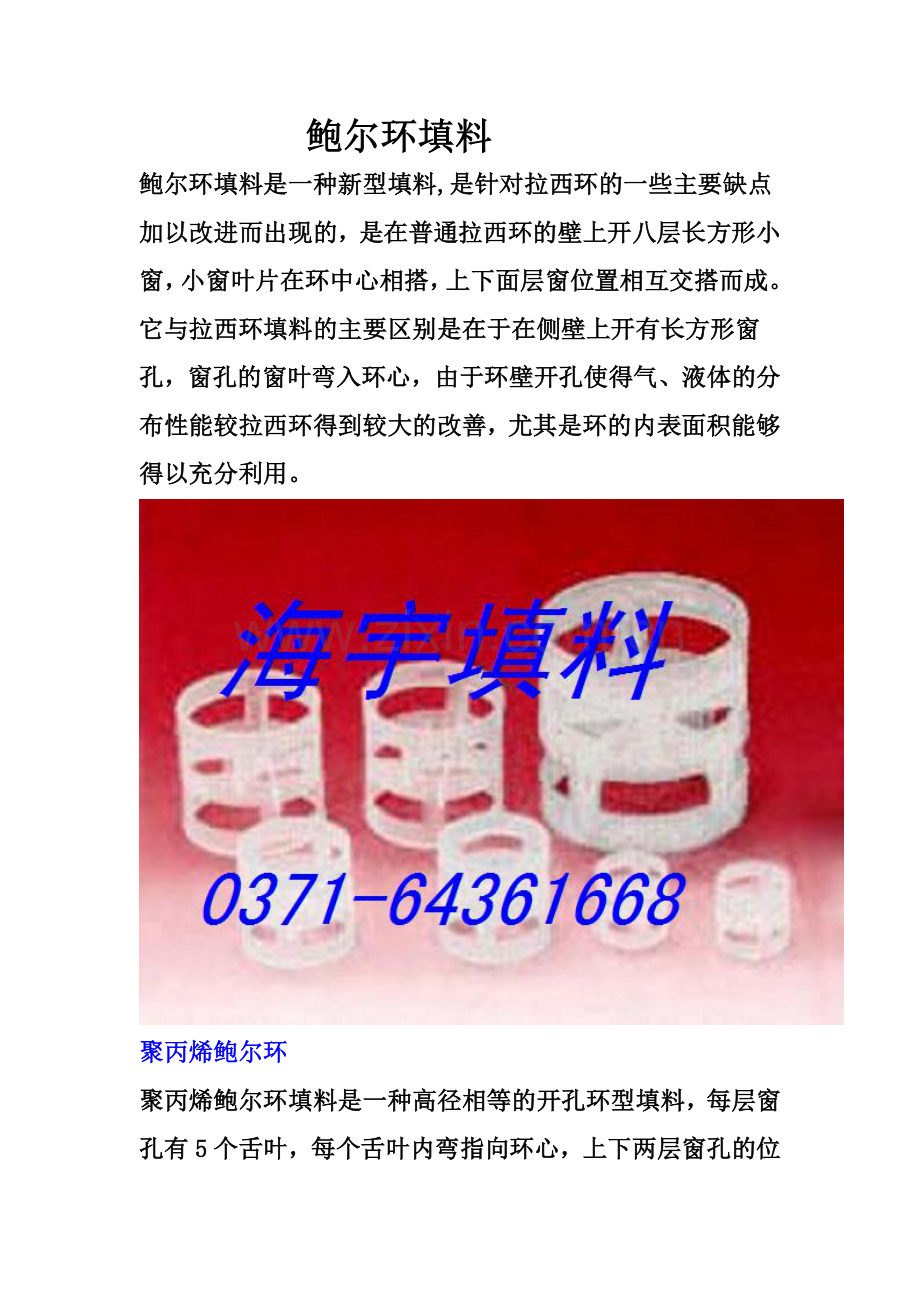 聚丙烯鲍尔环填料.doc_第1页