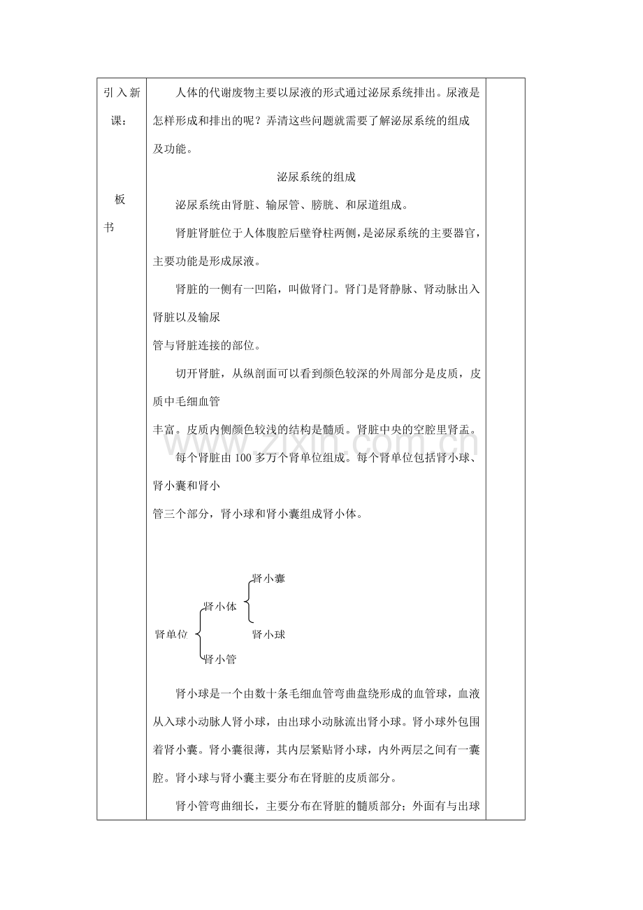 七年级生物下册尿的形成与排出教学设计北师大版.doc_第2页