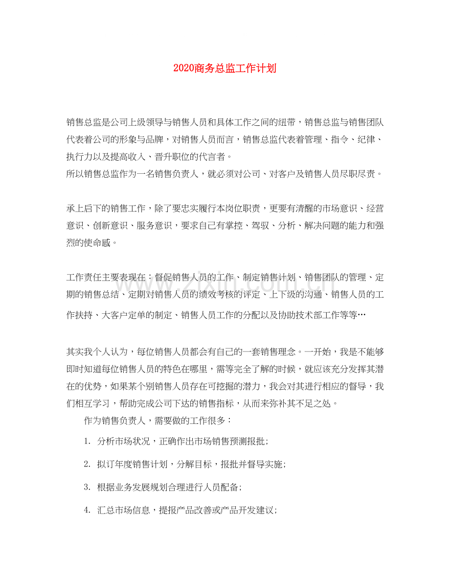 商务总监工作计划.docx_第1页