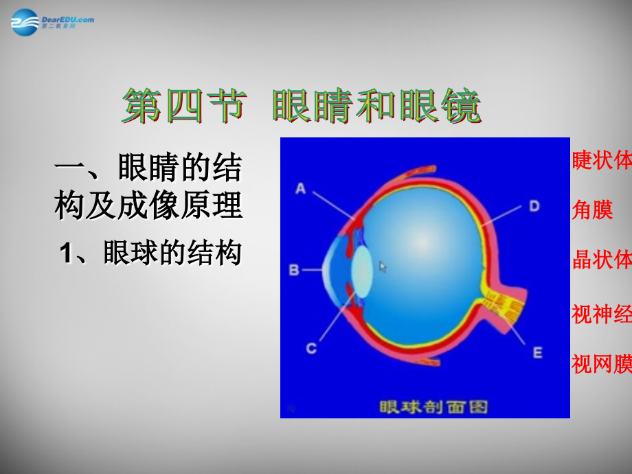 八年级物理上册 5.4 眼睛和眼镜课件7 (新版)新人教版 课件.ppt_第2页