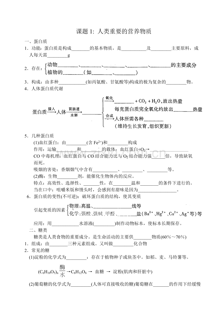 课题1人类重要的营养物质.doc_第1页
