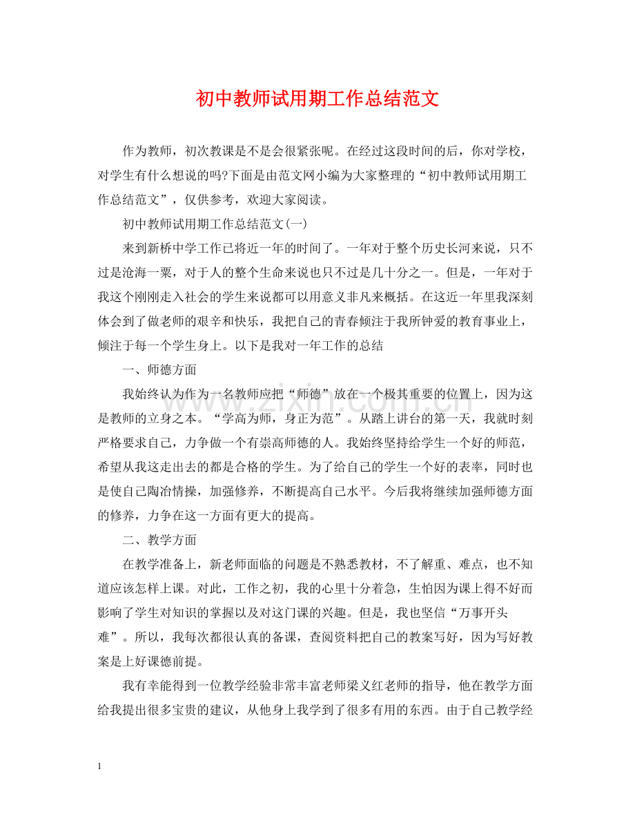 初中教师试用期工作总结范文.docx_第1页