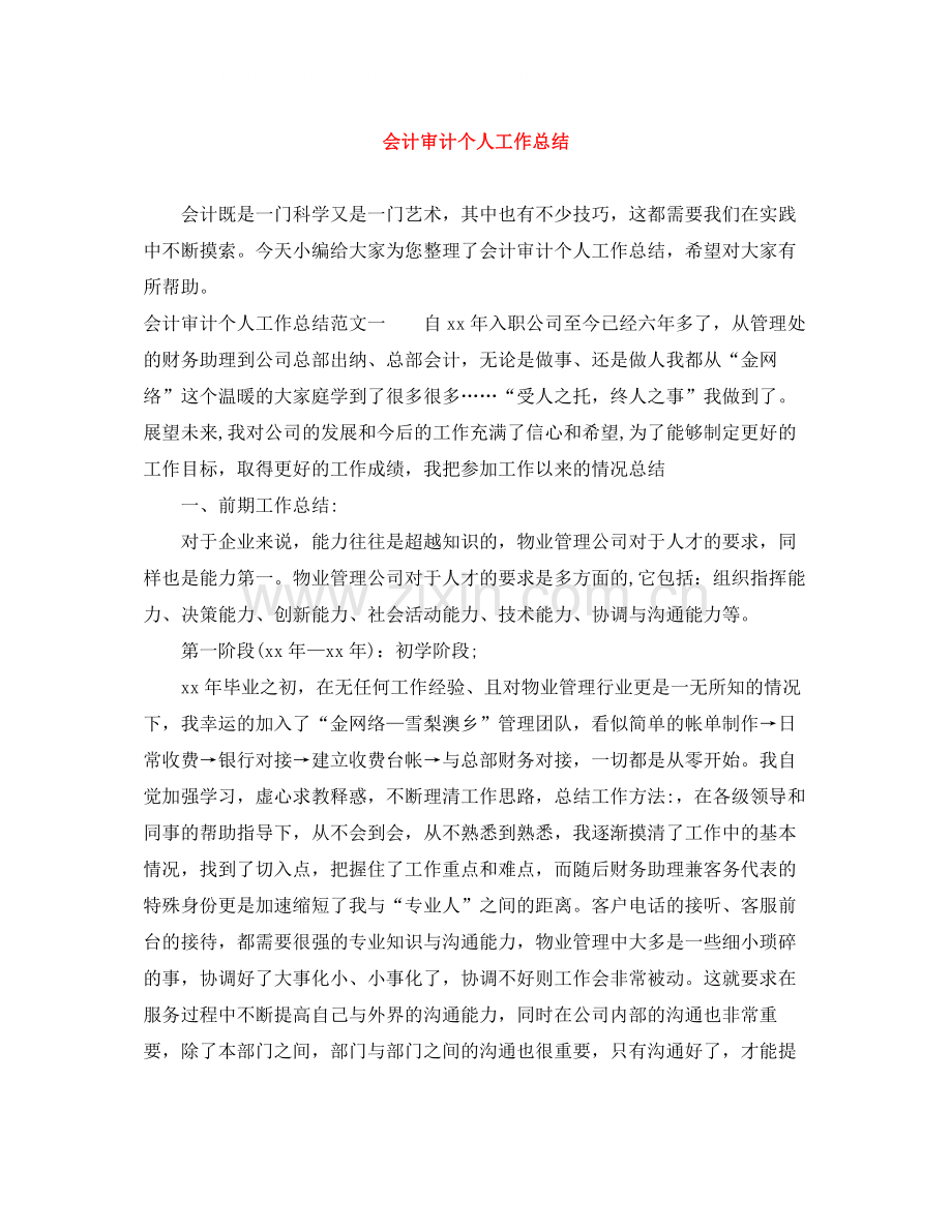 会计审计个人工作总结.docx_第1页