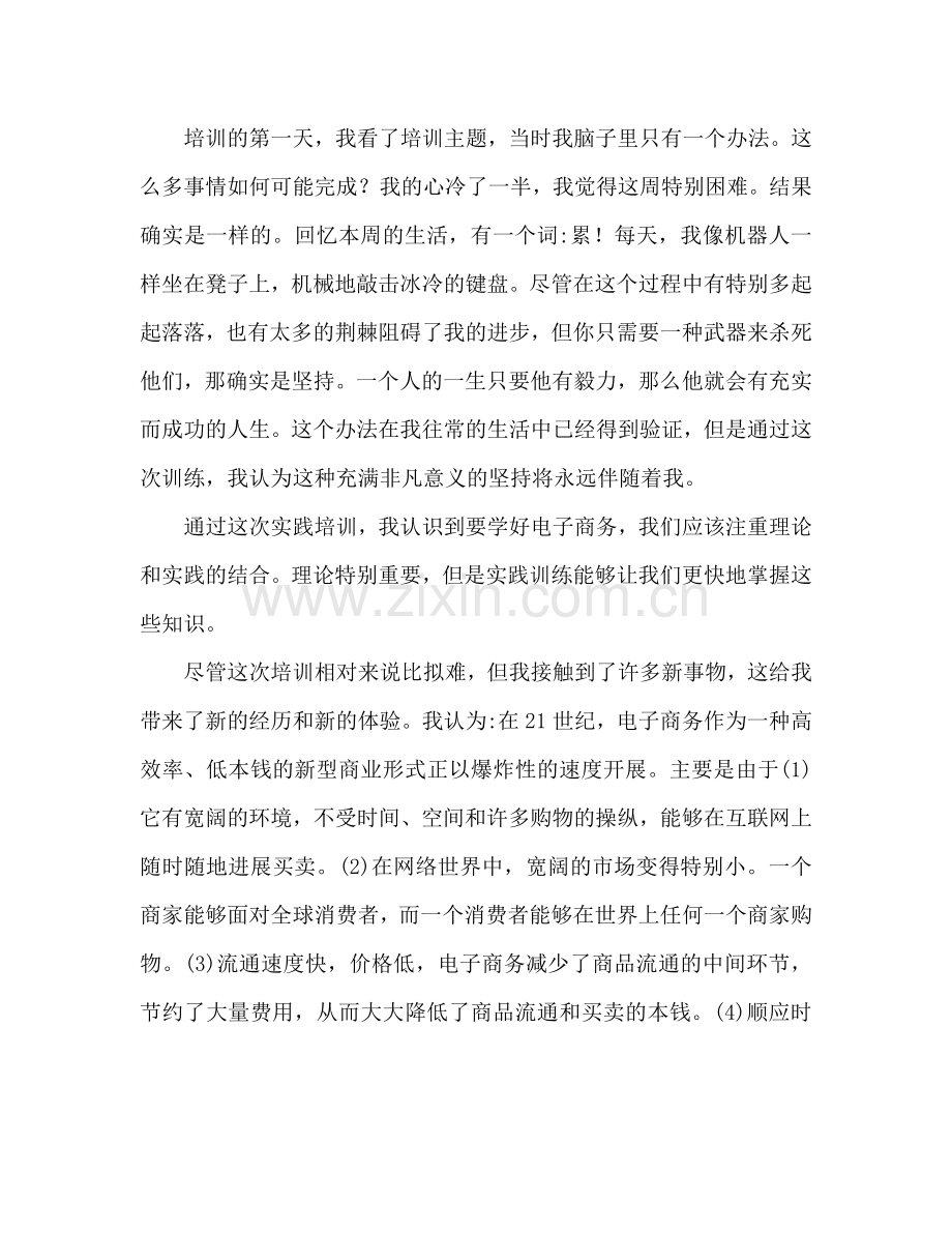 电子商务实训心得体会范文（通用）.doc_第2页